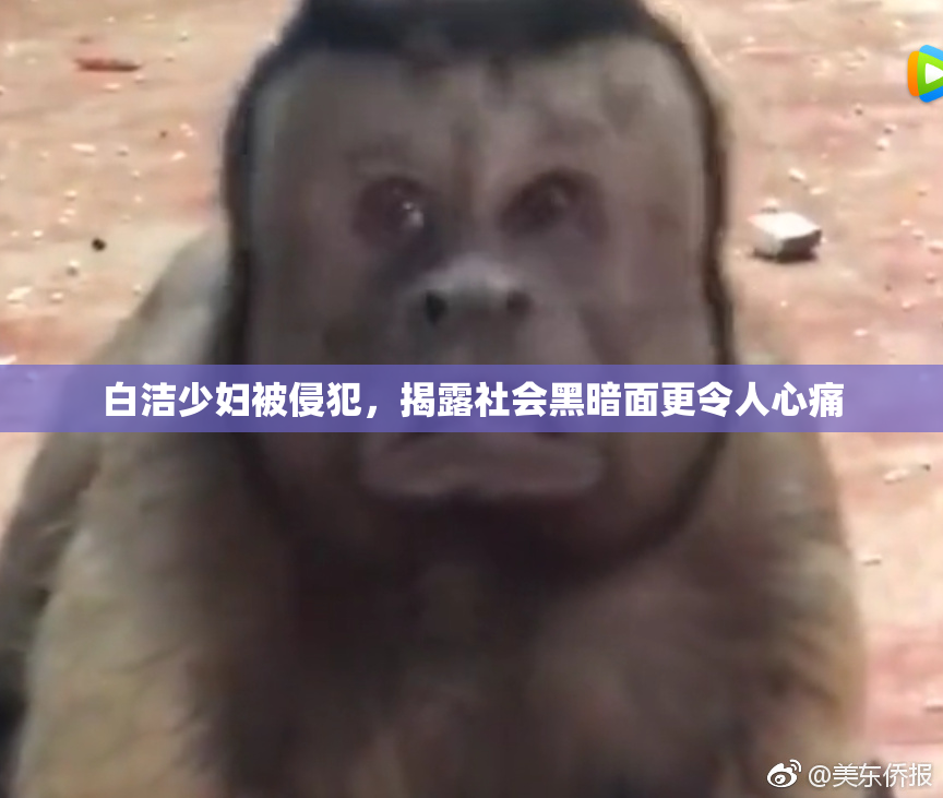 白洁少妇被侵犯，揭露社会黑暗面更令人心痛