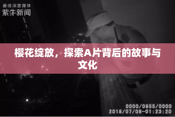 樱花绽放，探索A片背后的故事与文化