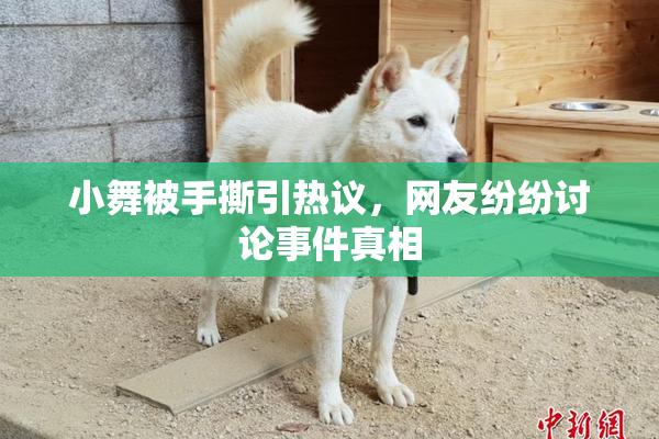 小舞被手撕引热议，网友纷纷讨论事件真相
