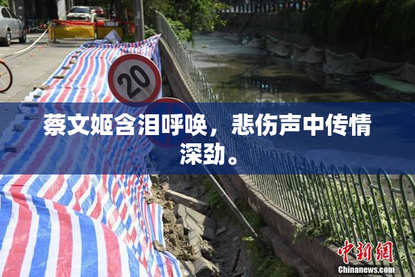 蔡文姬含泪呼唤，悲伤声中传情深劲。