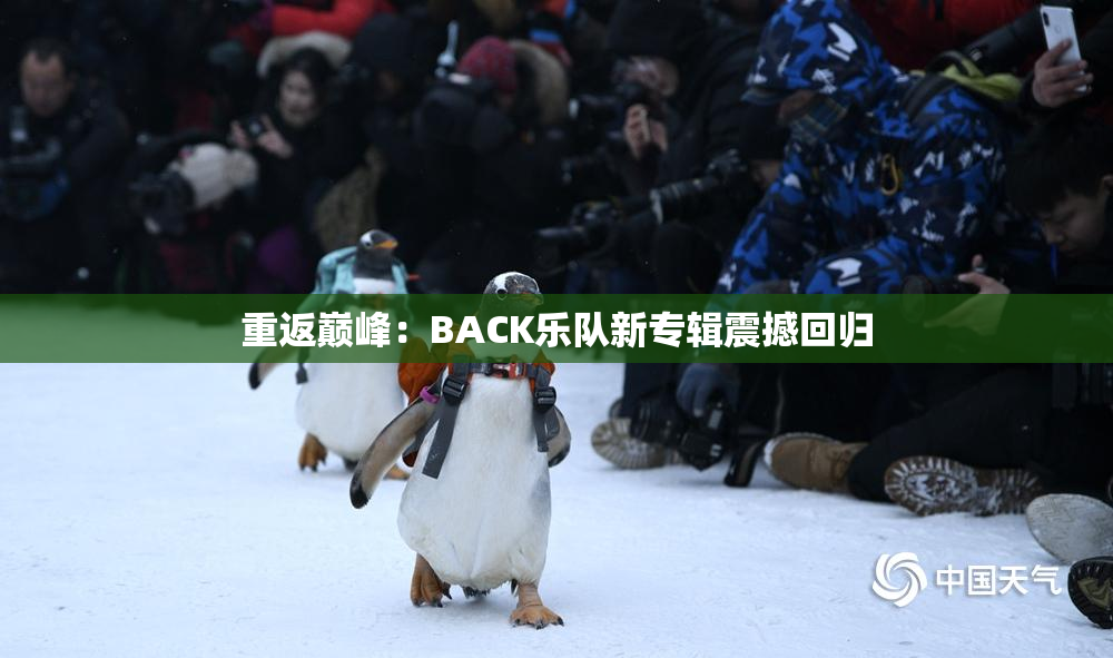 重返巅峰：BACK乐队新专辑震撼回归
