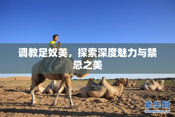 调教足奴美，探索深度魅力与禁忌之美
