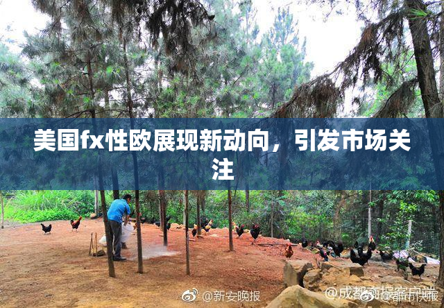 美国fx性欧展现新动向，引发市场关注
