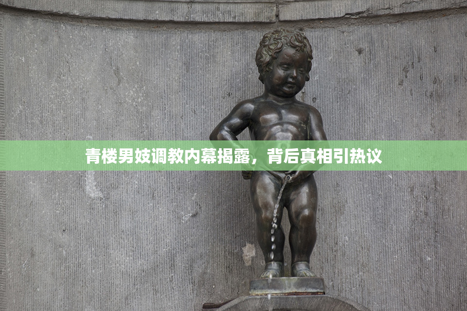 青楼男妓调教内幕揭露，背后真相引热议