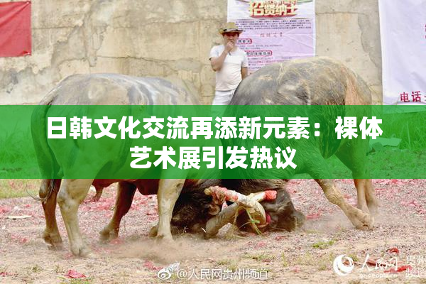 日韩文化交流再添新元素：裸体艺术展引发热议