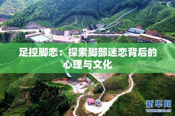 足控脚恋：探索脚部迷恋背后的心理与文化