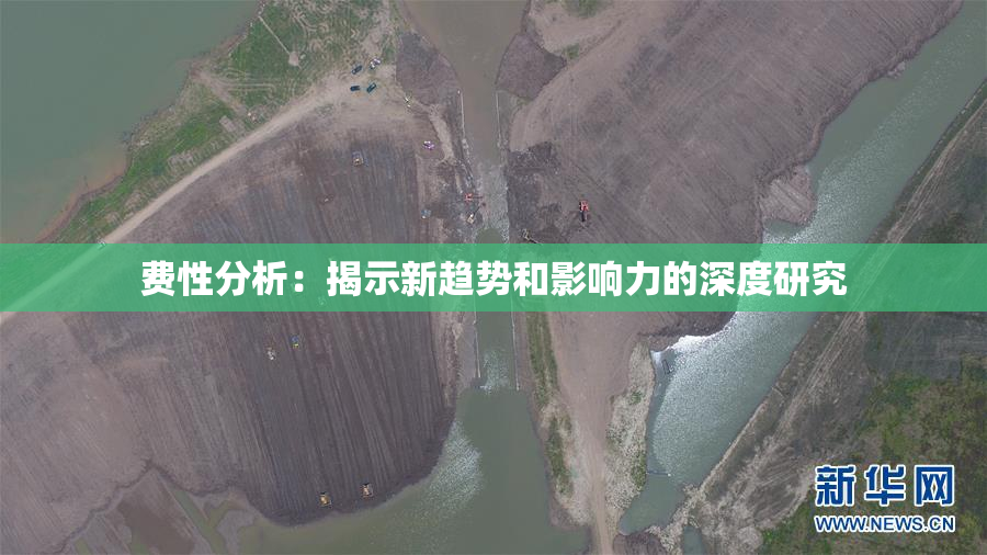 费性分析：揭示新趋势和影响力的深度研究