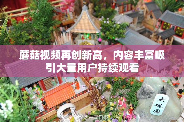 蘑菇视频再创新高，内容丰富吸引大量用户持续观看