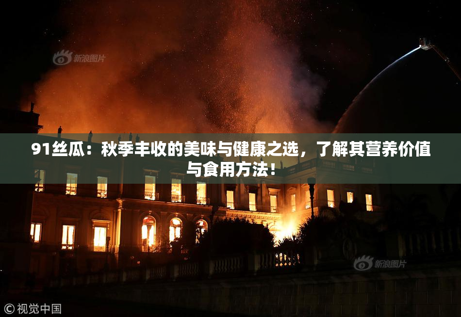 91丝瓜：秋季丰收的美味与健康之选，了解其营养价值与食用方法！