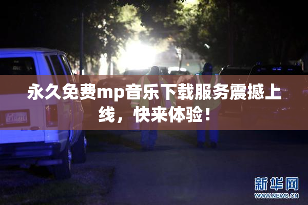 永久免费mp音乐下载服务震撼上线，快来体验！