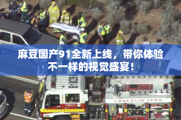 麻豆国产91全新上线，带你体验不一样的视觉盛宴！