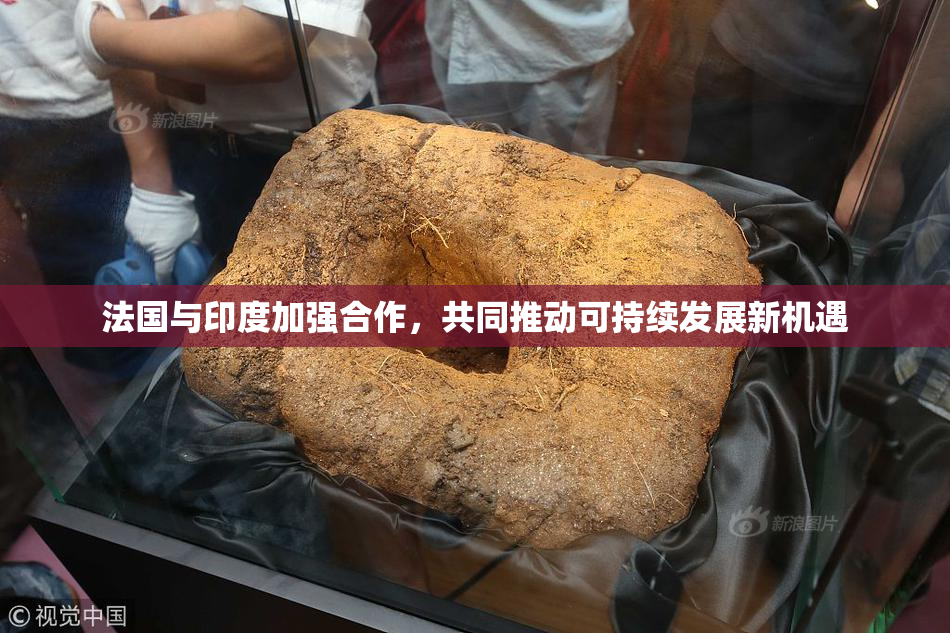 法国与印度加强合作，共同推动可持续发展新机遇