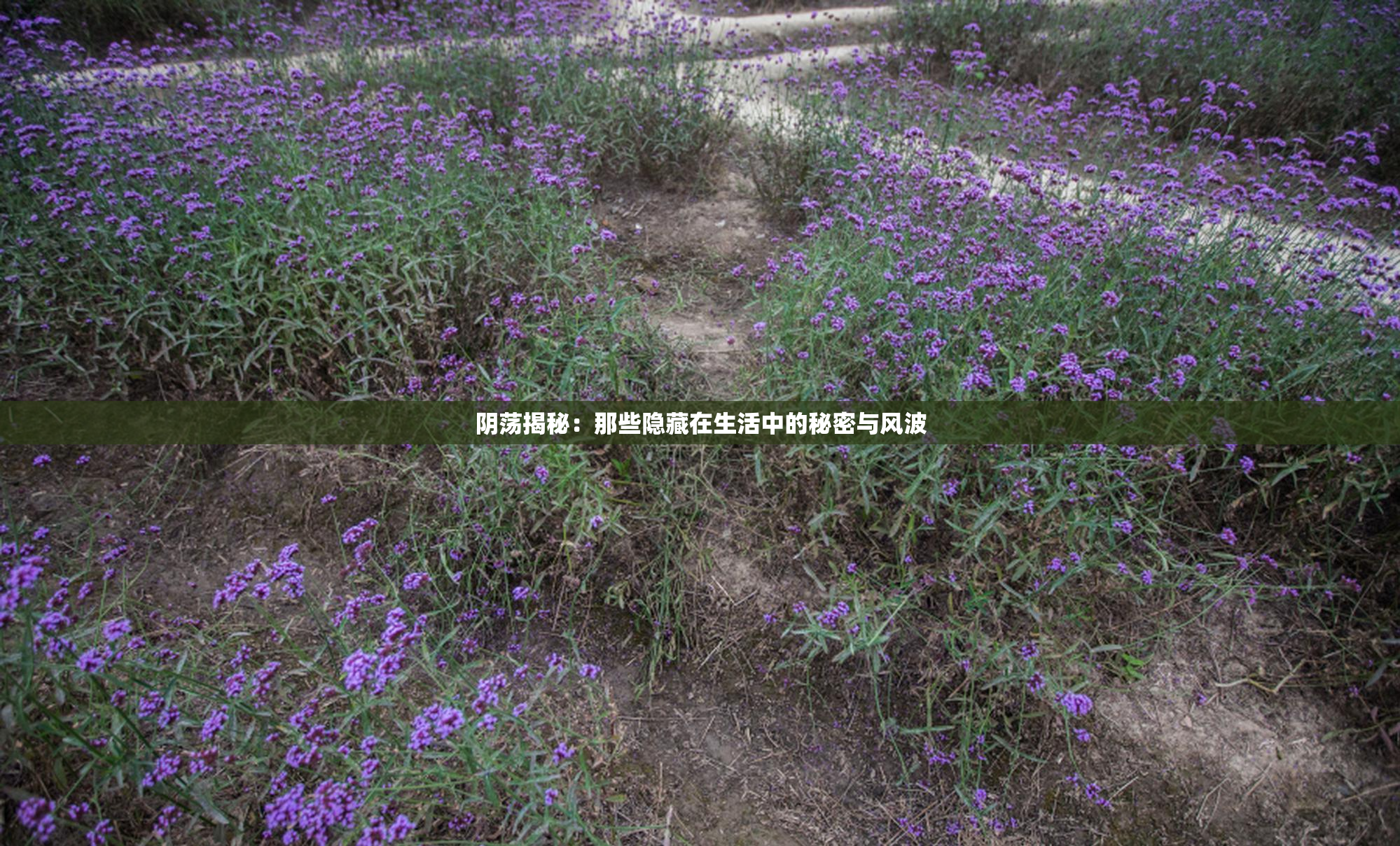阴荡揭秘：那些隐藏在生活中的秘密与风波