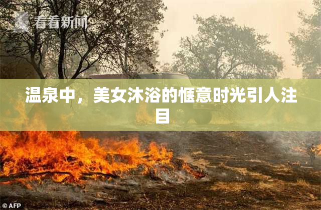 温泉中，美女沐浴的惬意时光引人注目