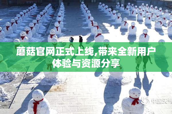 蘑菇官网正式上线,带来全新用户体验与资源分享