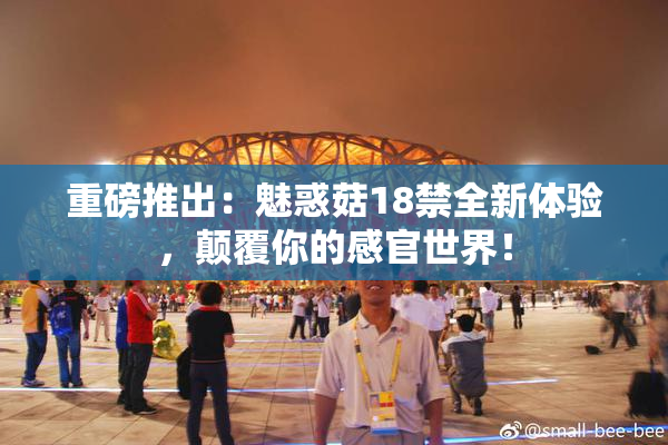 重磅推出：魅惑菇18禁全新体验，颠覆你的感官世界！