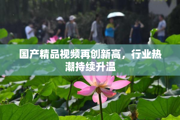 国产精品视频再创新高，行业热潮持续升温