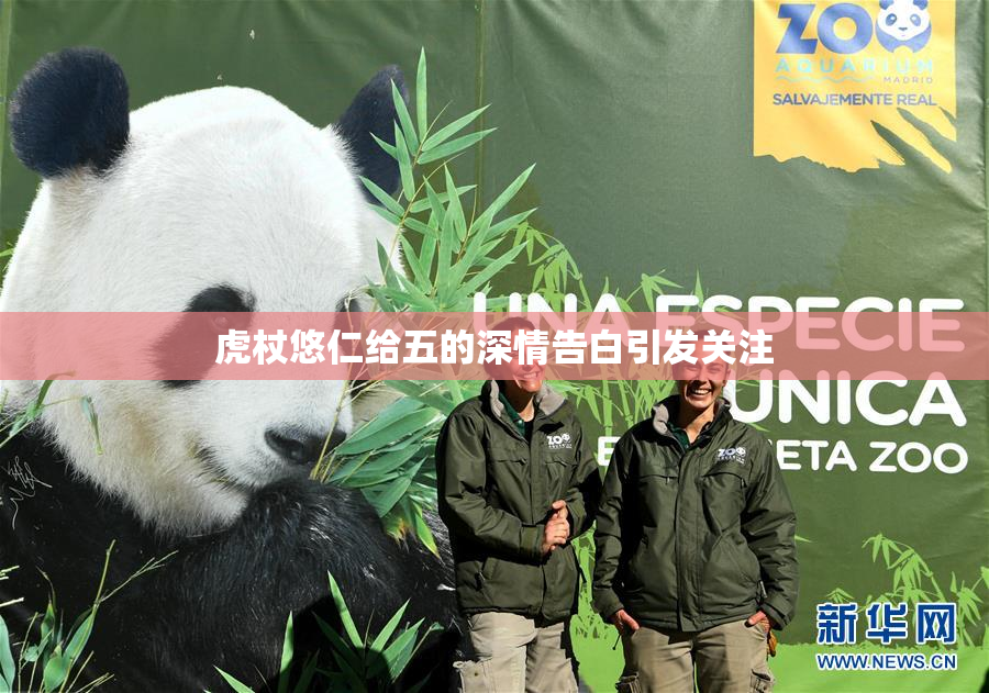 虎杖悠仁给五的深情告白引发关注