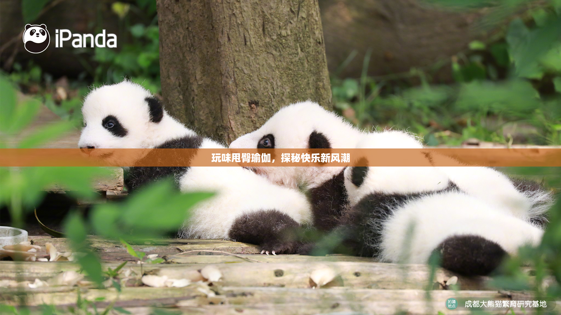 玩味甩臀瑜伽，探秘快乐新风潮