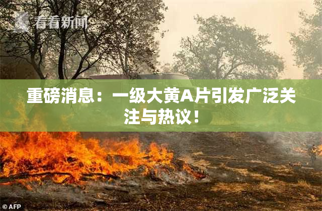 重磅消息：一级大黄A片引发广泛关注与热议！
