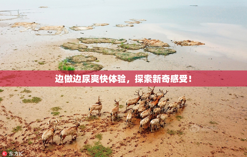 边做边尿爽快体验，探索新奇感受！
