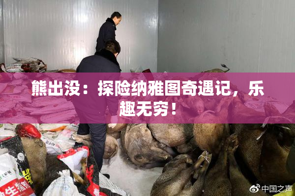 熊出没：探险纳雅图奇遇记，乐趣无穷！