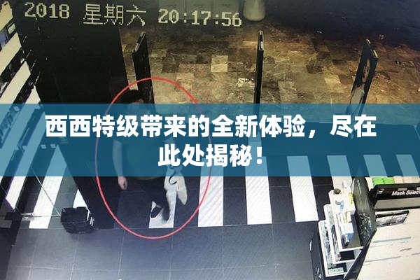 西西特级带来的全新体验，尽在此处揭秘！