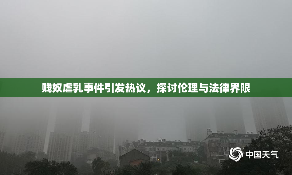 贱奴虐乳事件引发热议，探讨伦理与法律界限