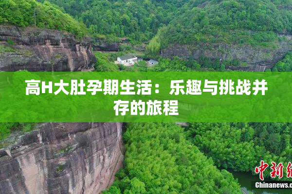 高H大肚孕期生活：乐趣与挑战并存的旅程