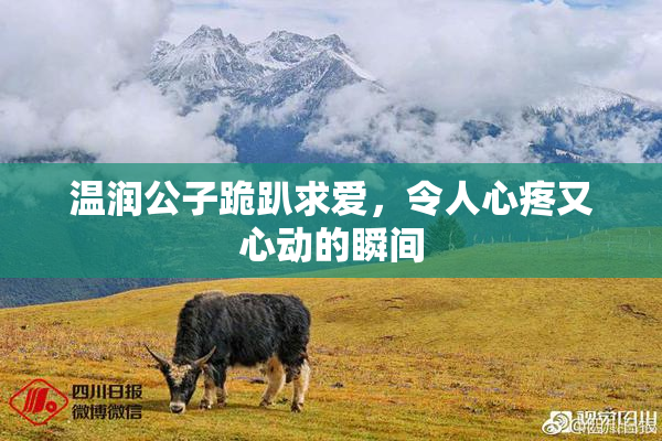 温润公子跪趴求爱，令人心疼又心动的瞬间