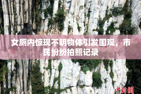女厕内惊现不明物体引发围观，市民纷纷拍照记录
