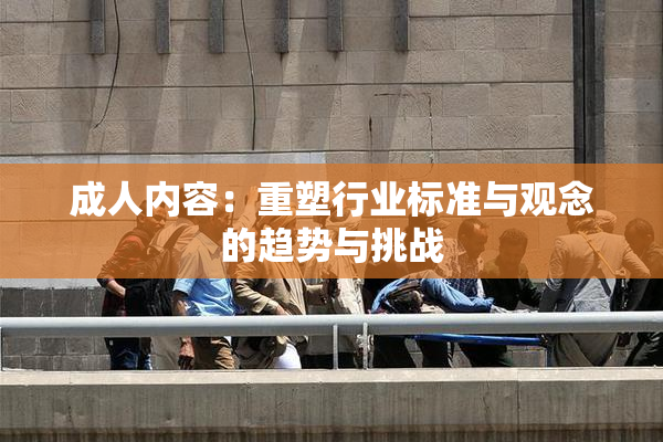 成人内容：重塑行业标准与观念的趋势与挑战