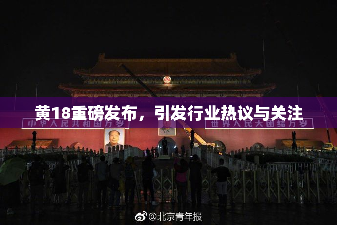 黄18重磅发布，引发行业热议与关注
