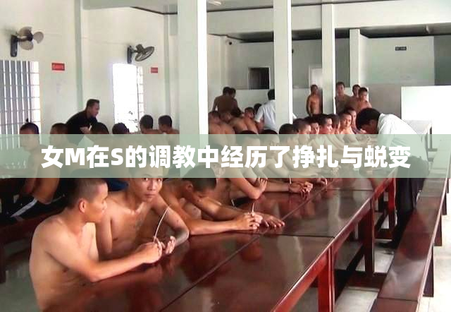 女M在S的调教中经历了挣扎与蜕变