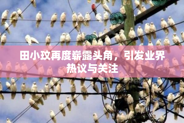 田小玟再度崭露头角，引发业界热议与关注