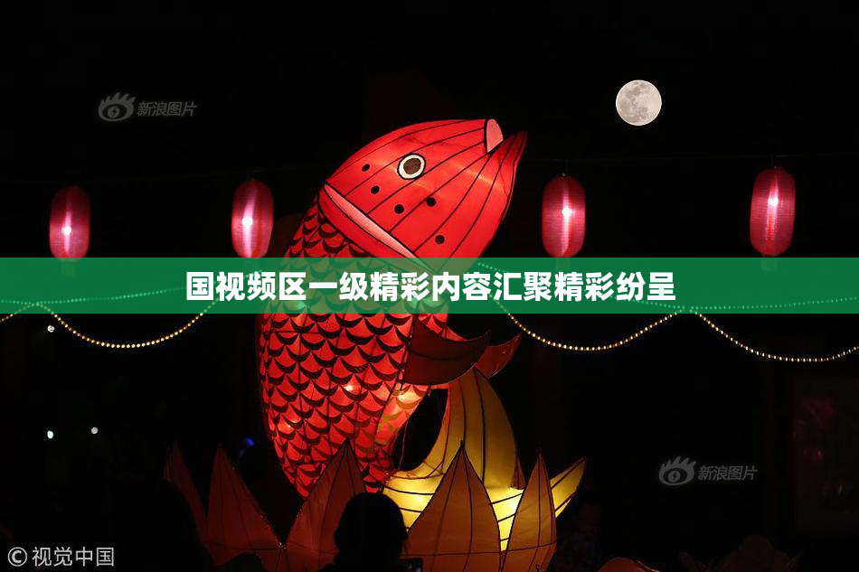 国视频区一级精彩内容汇聚精彩纷呈