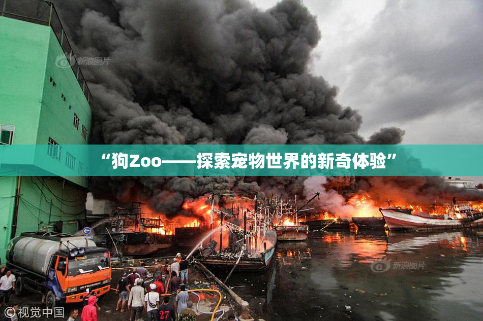 “狗Zoo——探索宠物世界的新奇体验”