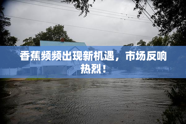 香蕉频频出现新机遇，市场反响热烈！