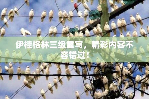 伊桂格林三级重写，精彩内容不容错过！
