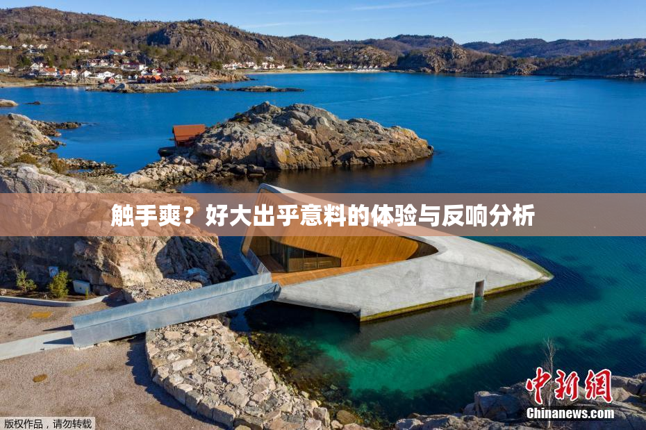 触手爽？好大出乎意料的体验与反响分析