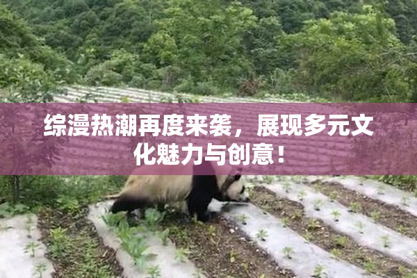 综漫热潮再度来袭，展现多元文化魅力与创意！