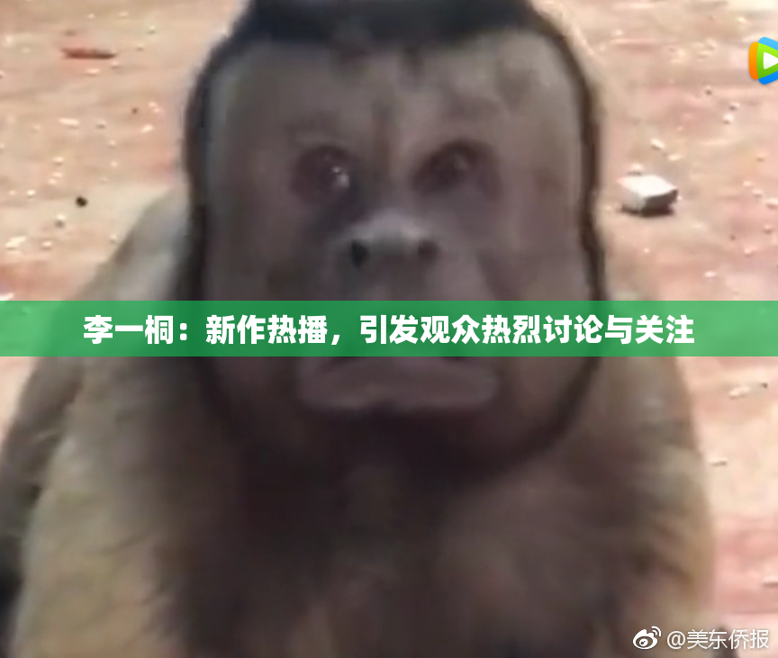 李一桐：新作热播，引发观众热烈讨论与关注