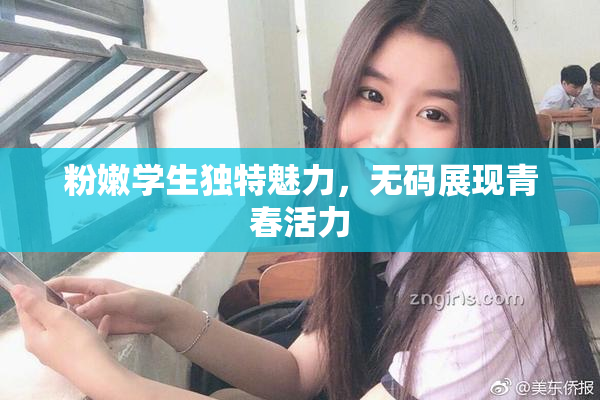 粉嫩学生独特魅力，无码展现青春活力