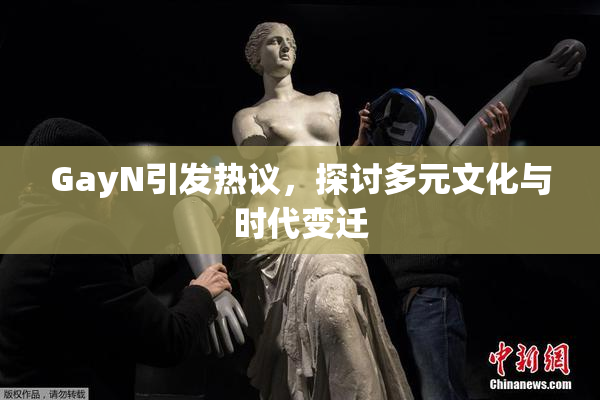 GayN引发热议，探讨多元文化与时代变迁