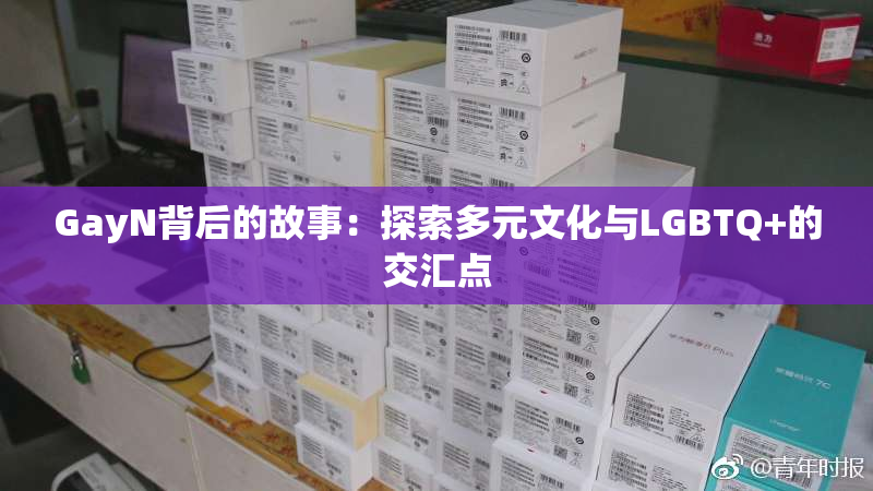 GayN背后的故事：探索多元文化与LGBTQ+的交汇点