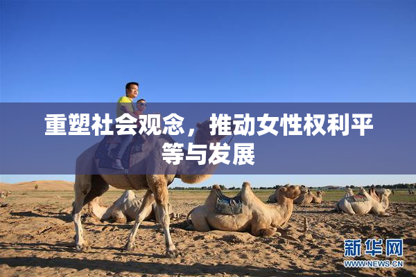 重塑社会观念，推动女性权利平等与发展