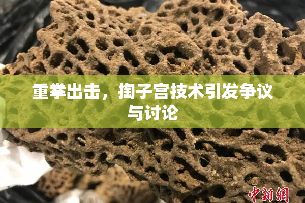 重拳出击，掏子宫技术引发争议与讨论