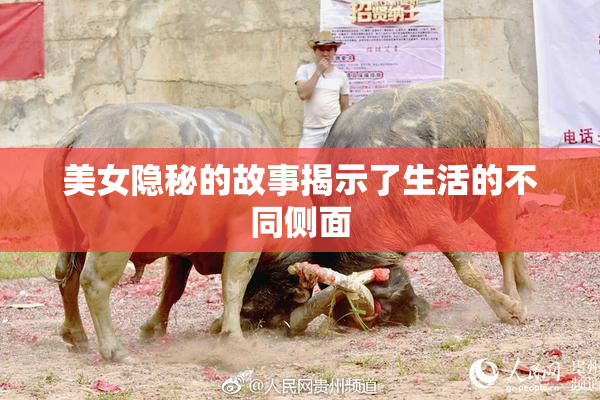 美女隐秘的故事揭示了生活的不同侧面