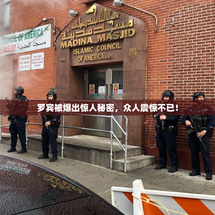 罗宾被爆出惊人秘密，众人震惊不已！