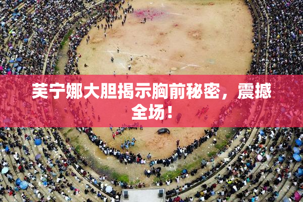 芙宁娜大胆揭示胸前秘密，震撼全场！